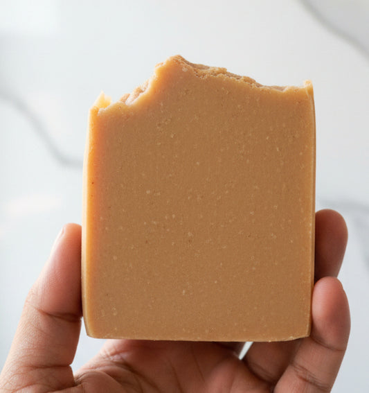 Hand holding a block of cheese with a blurred background
